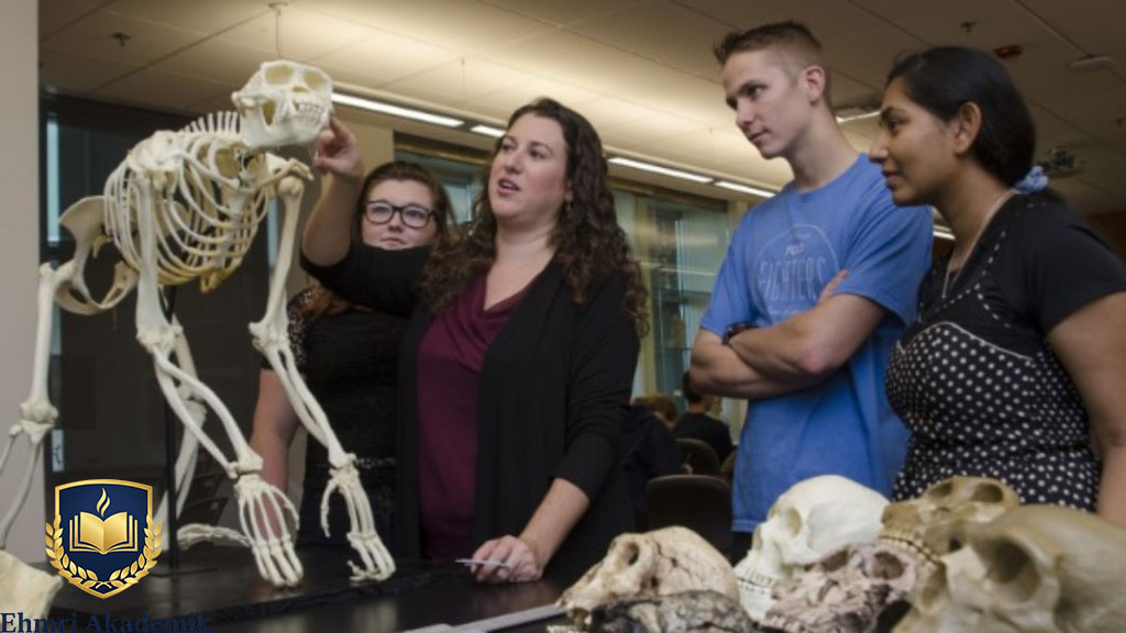 Cara Membangun Karier di Bidang Antropologi